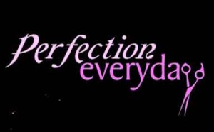 Perfection Everyday Unisex Salon