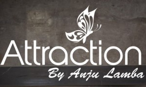 Attraction by Anju Lamba 