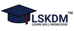 LSKDM™ | Digital Marketing Institute in Delhi 