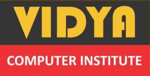 Vidya Computer Institute 